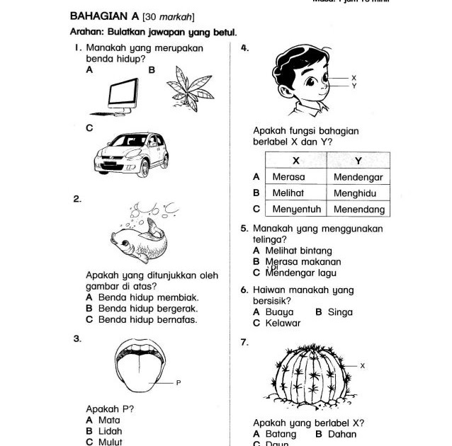 Soalan Ujian Bulan Mac Sains Tahun 4 Kssr - Contoh II