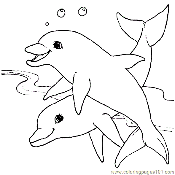 They are free and easy to print. Dolphins Coloring Pages For 12 Year Olds Clip Art Library