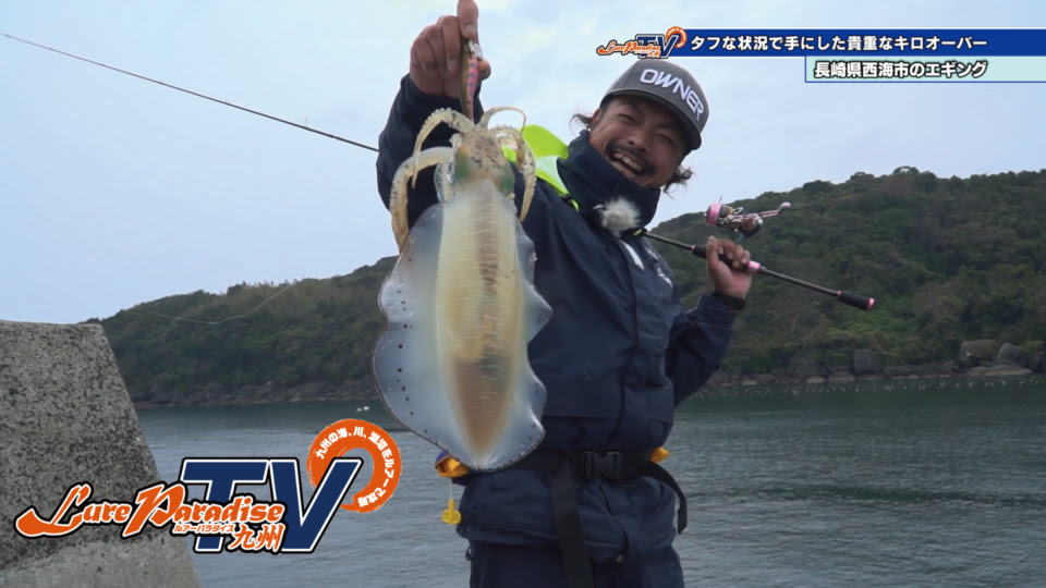 新着伊良湖 エギング すべての魚の画像