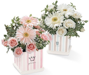 Lloyds Flowers Louisville Ky - Lloyd's Florist :: Flower ...