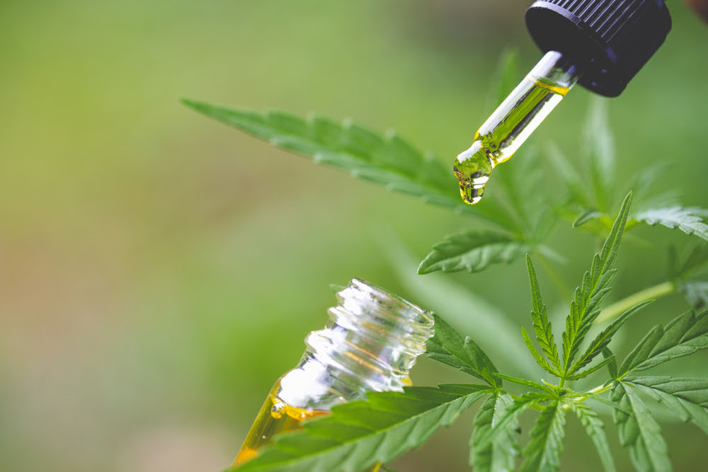 cbd oil and cannibis leaves