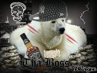 Just bounce original mix georgian gang gangster beats. Polar Bear Gangster Bild 90815520 Blingee Com