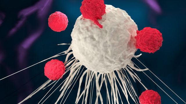 Tratamento de câncer: Anvisa autoriza pesquisa clínica com células CAR-T no Brasil