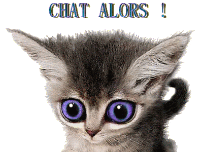 [Le plus populaire! ] chat chaton merci gif 844795