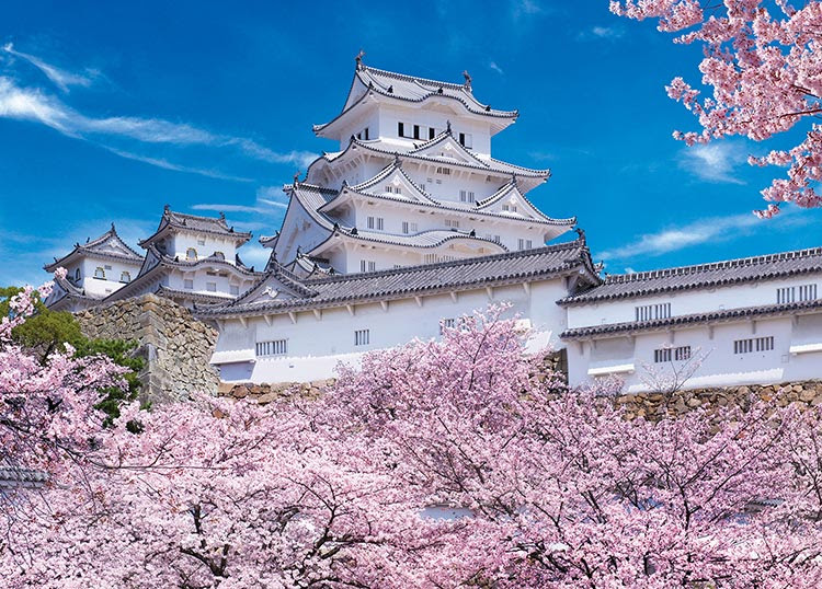 100以上 桜 壁紙 姫路城 1045