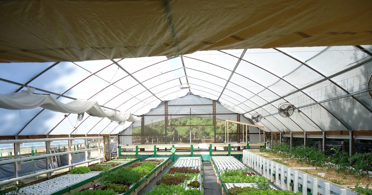 Jerry : Knowing Hybrid commercial aquaponic farming