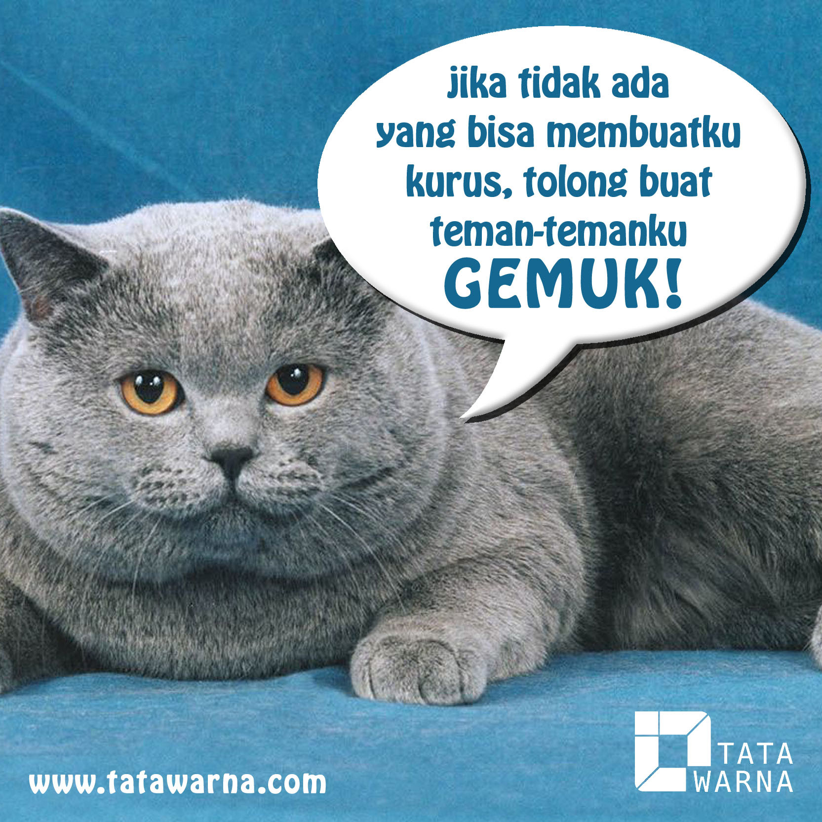 Gambar Bergerak Lucu Gokil Banget Top