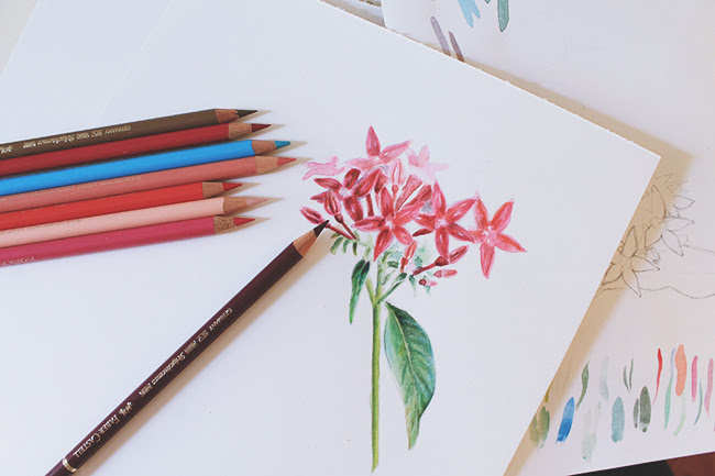  Step By Step Easy Colored Pencil Drawings Of Flowers