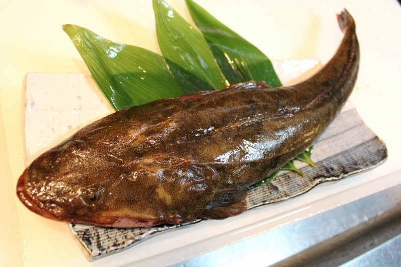 驚くばかりマゴチ 料理方法 最高の花の画像