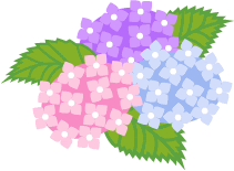 立派な アジサイ イラスト 無料