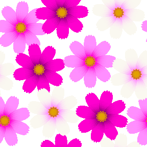 無料ダウンロードコスモス 壁紙 イラスト 最高の花の画像