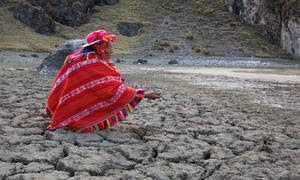 Los pueblos indígenas gestionan u ocupan una cuarta parte de las tierras del mundo que albergan el 80% de la biodiversidad mundial.