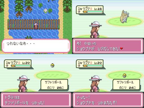 ポケモン サファリ ゾーン 世界漫画の物語