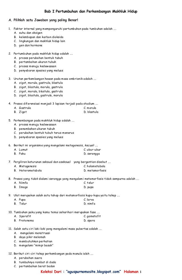Pdf Soal Kumpulan Dan Tpa Bappenas Pembahasannya