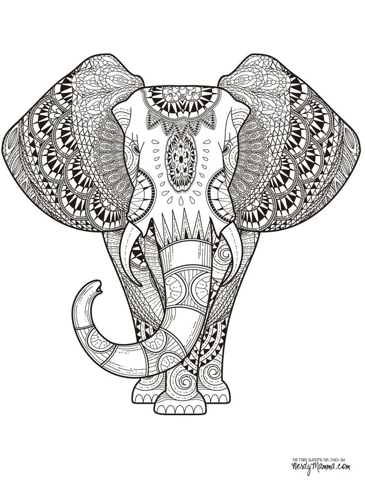 Printable animal mandala coloring pages pdf. Free Animal Mandalas Coloring Pages Download Free Animal Mandalas Coloring Pages Png Images Free Cliparts On Clipart Library