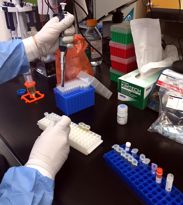 Research being conducted on a Zika vaccine candidate