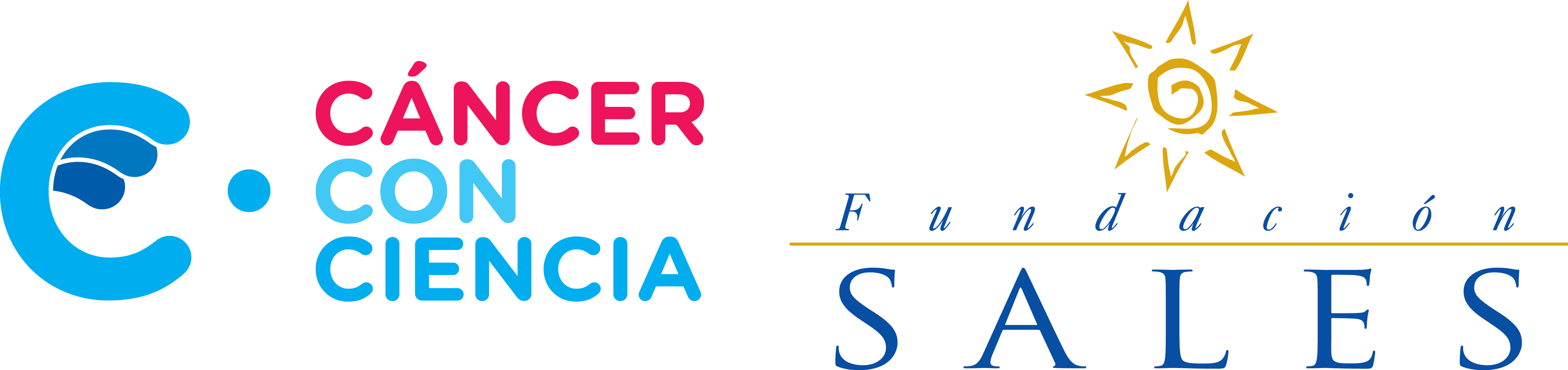 Logo Fundacion Sales