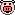 pig