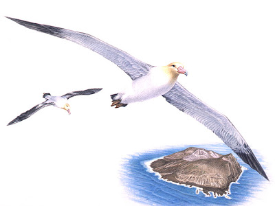飛ぶ鳥 イラスト 264486-飛ぶ鳥 イラスト かわいい