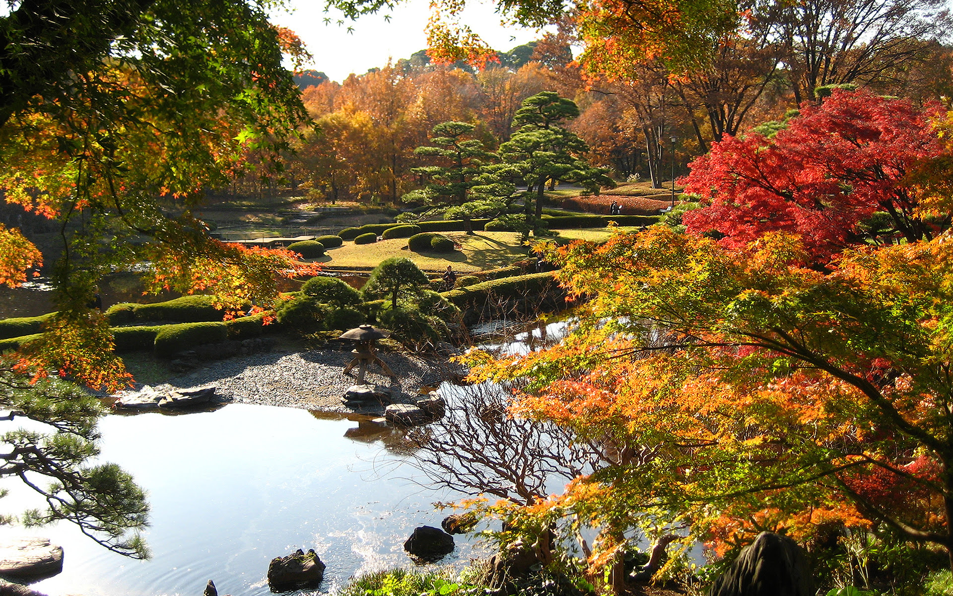 50 日本 庭園 壁紙 Jpbestwallpaper