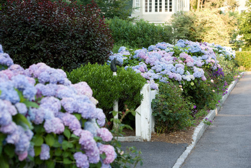 Maybe you would like to learn more about one of these? Creative Solutions For Small Front Yards