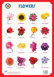 Flora Names English And Tamil