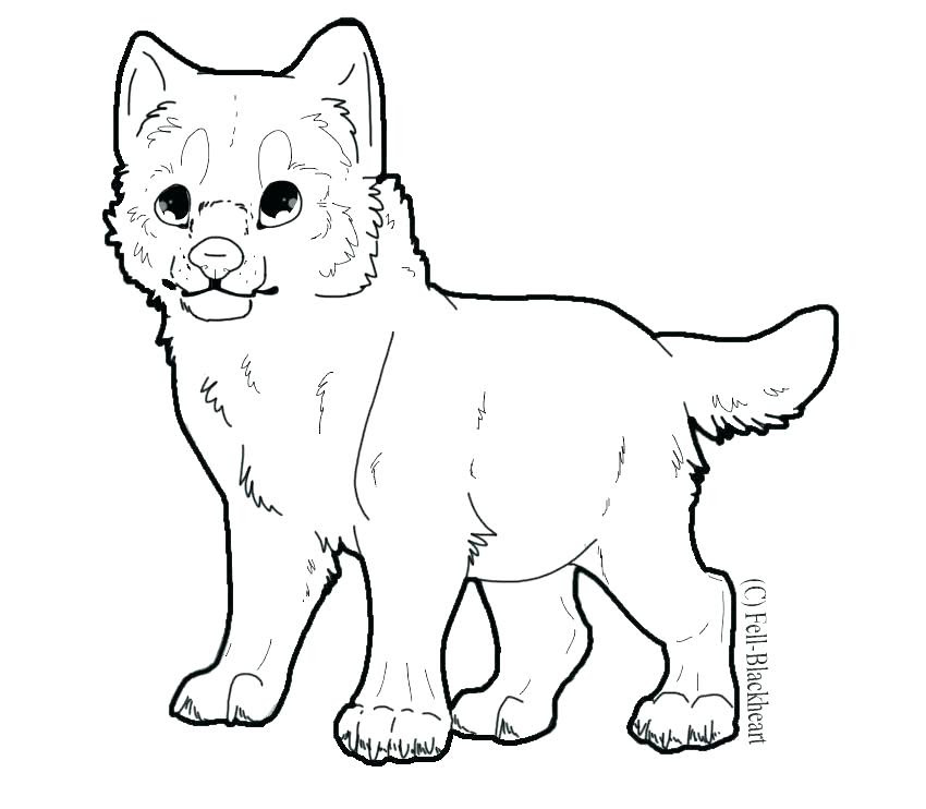baby wolf coloring pages  ilmu pengetahuan 4