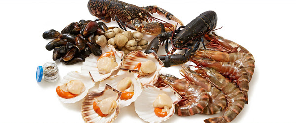The current champion in the battle of troublesome pluralization is octopus, which, depending on which dictionary is consulted, may be written in three different ways: Is Lobster Clam Oyster And Octopus Halal Ijtihad Network