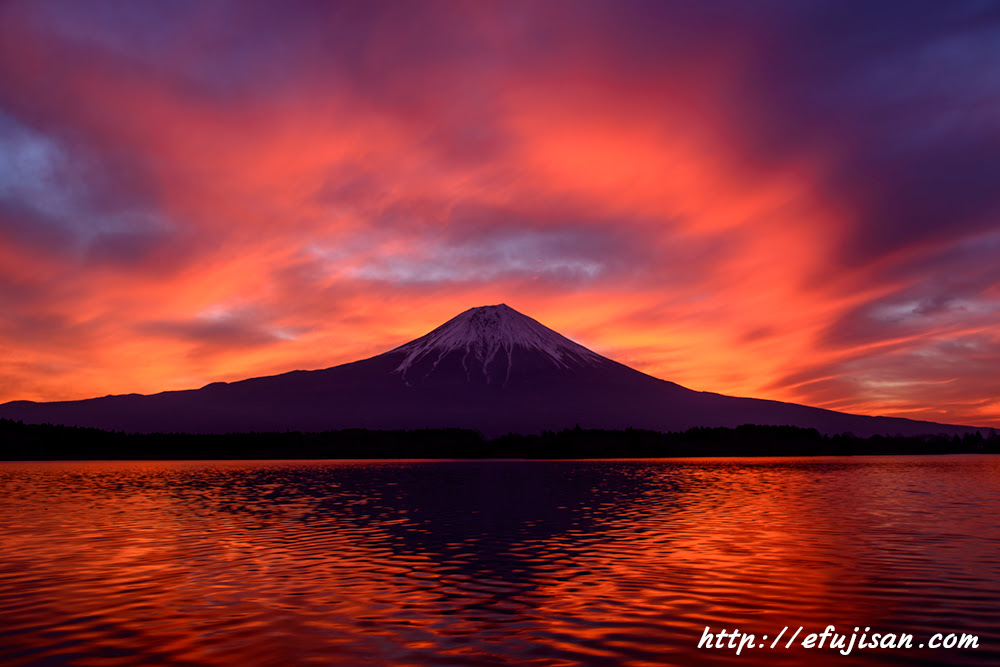 ユニーク壁紙 赤富士 画像 最高の花の画像