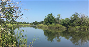 Habitat Eel River