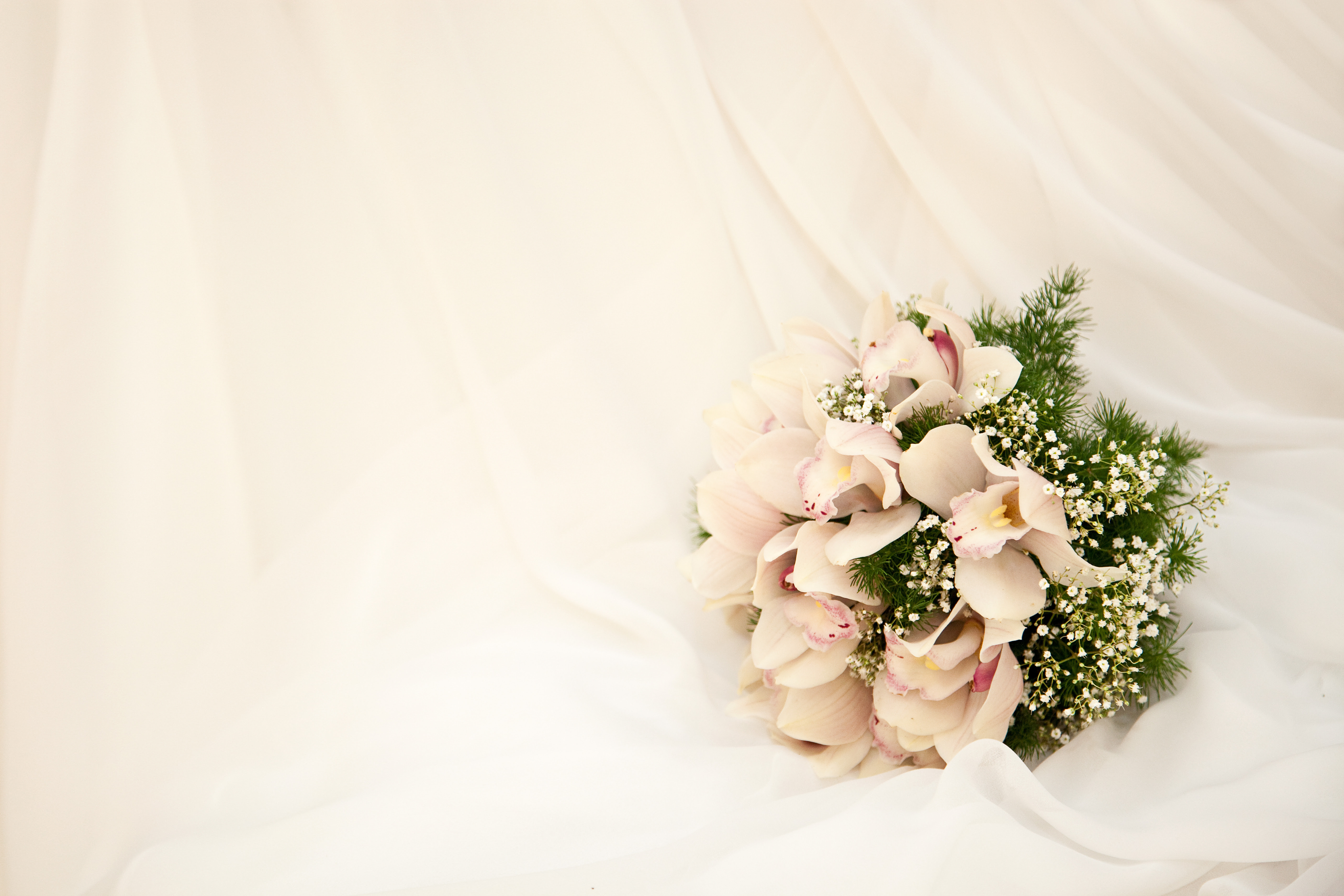 最高の無料イラスト これまでで最高の結婚 式 背景 素材 フリー