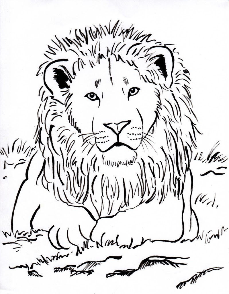 Discover our coloring pages of lions to print and color for free ! Lion Family Coloring Pages At Getdrawings Free Download