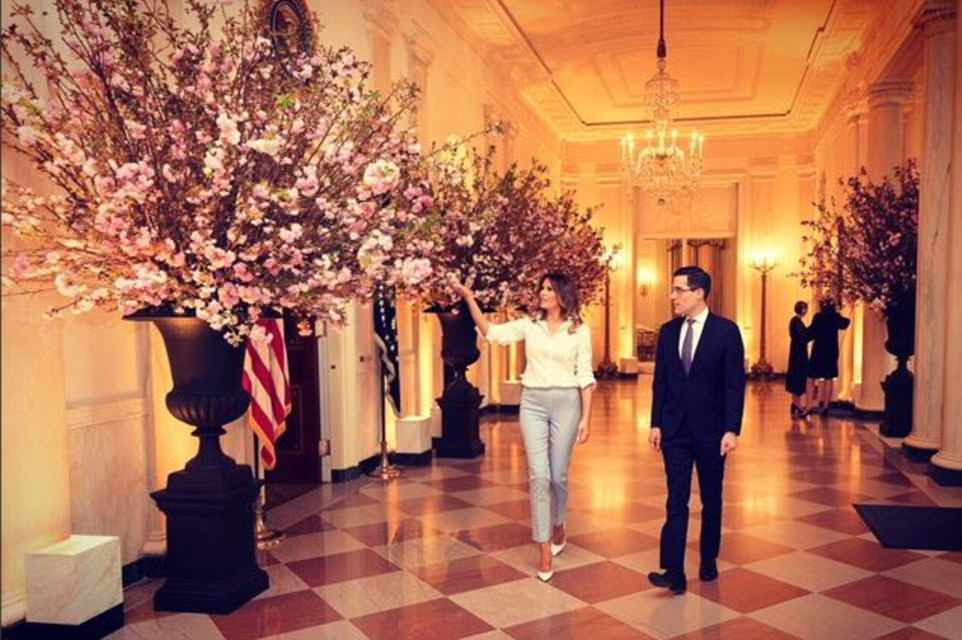 Primeira-dama Melania Trump gesticula em direÃ§Ã£o Ã s grandes exibiÃ§Ãµes de flores de cerejeira que foram instaladas para o jantar de terÃ§a-feira com a FranÃ§aÂ 