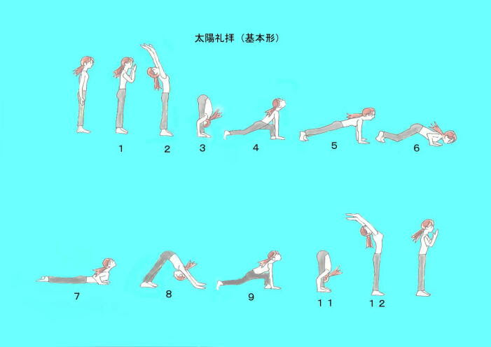 美しい花の画像 ベスト太陽礼拝 イラスト 無料