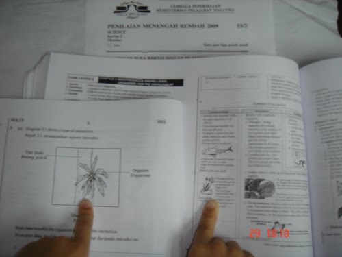 Contoh Soalan Spm Ekonomi 2019 - Selangor v