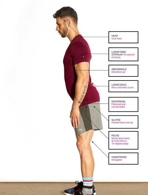 Muscles In Lower Back And Hip / Low Back Pain Anything But A Dream For Rowers / The hip muscles ...