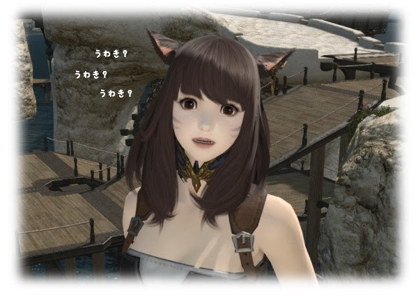0以上 Ff14 キャラクリ レシピ アウラ Ff14 キャラクリ レシピ アウラ