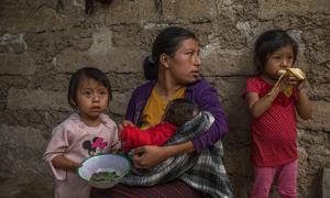 Guatemala tiene una de las tasas de desnutrición infantil más altas del mundo.