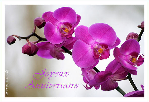 Carte Joyeux Anniversaire Christiane Dasaquenguli Web