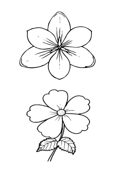 Contoh Gambar Bunga  Yg Mudah  Digambar  Kumpulan Gambar Bunga 