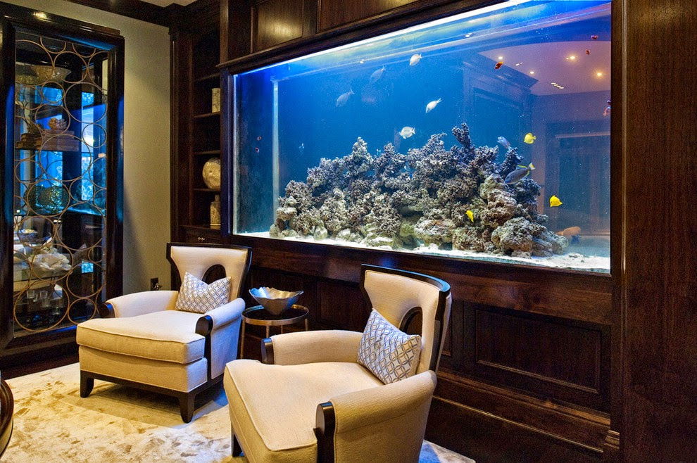 Do you have an aquarium that draws the attention of everyone that comes to visit your house? Beautiful Home Aquarium Design Ideas