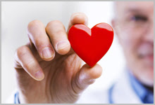 A doctor holding a fake heart.