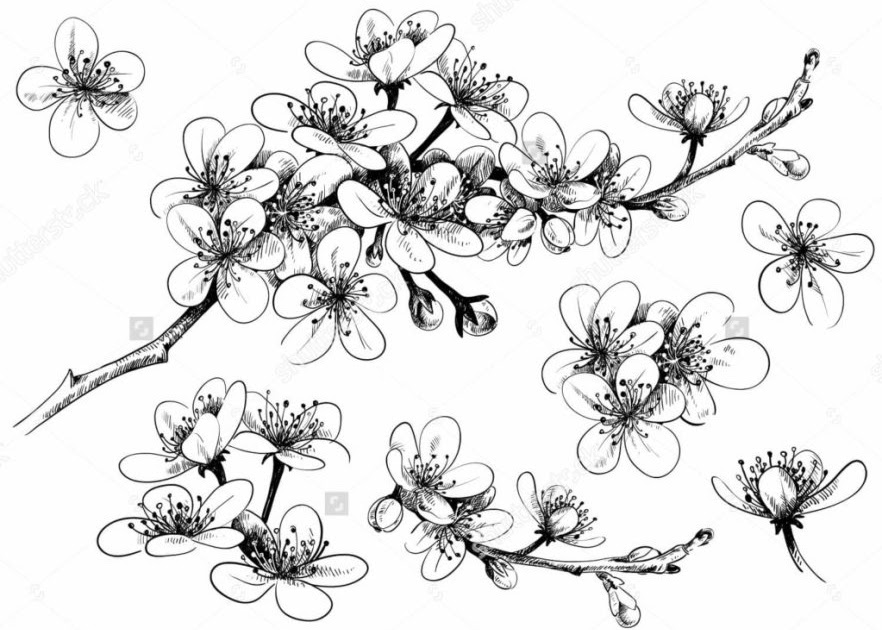 Gambar Batik  Bunga Yang  Mudah  Digambar  Dan Bagus Bagikan 