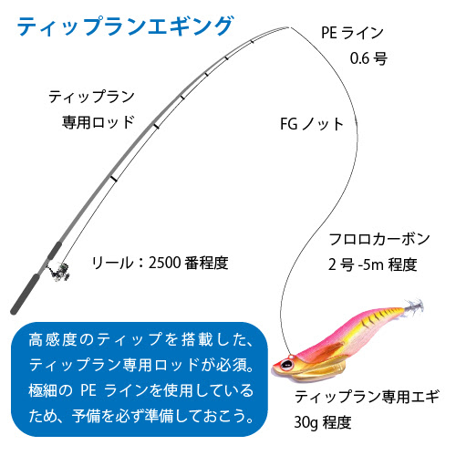 最新ティッ プラン 仕掛け すべての魚の画像