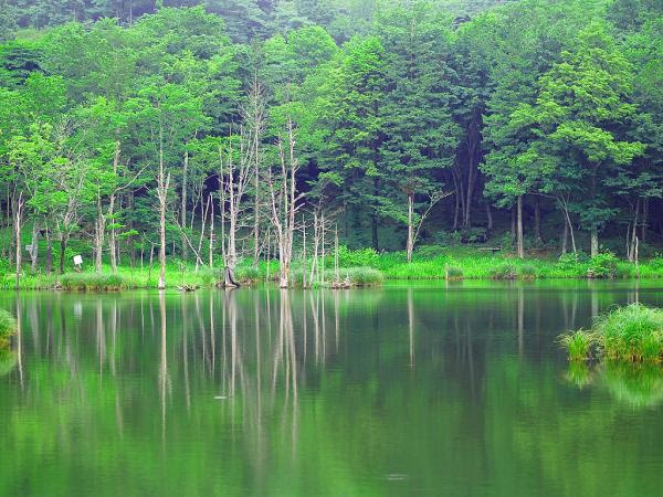 すべての美しい花の画像 綺麗な高 画質 壁紙 風景