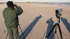monitoring