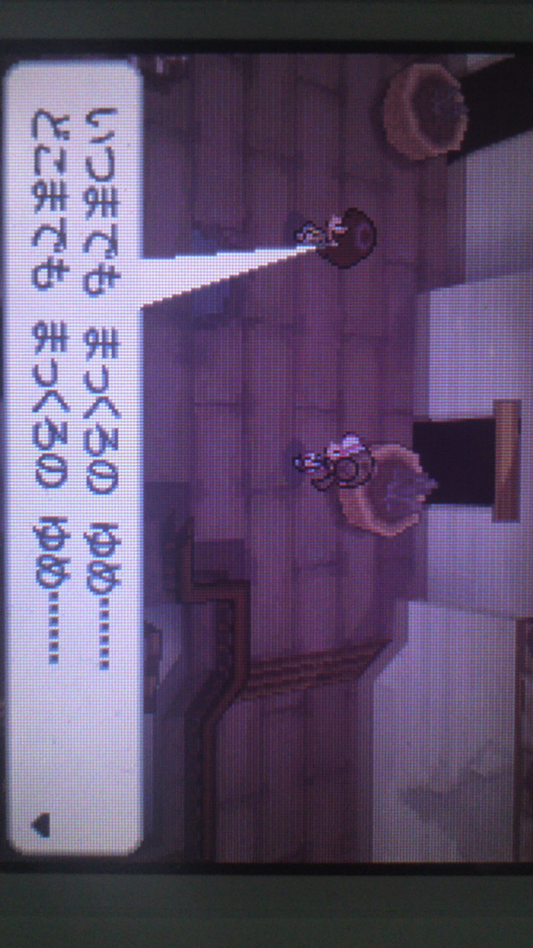 Mamiintyu ポケモン ホワイト 2 ストレンジャー ハウス