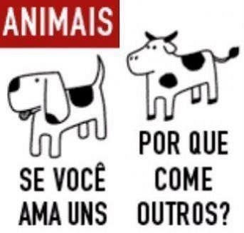 Resultado de imagem para SER VEGETARIANO