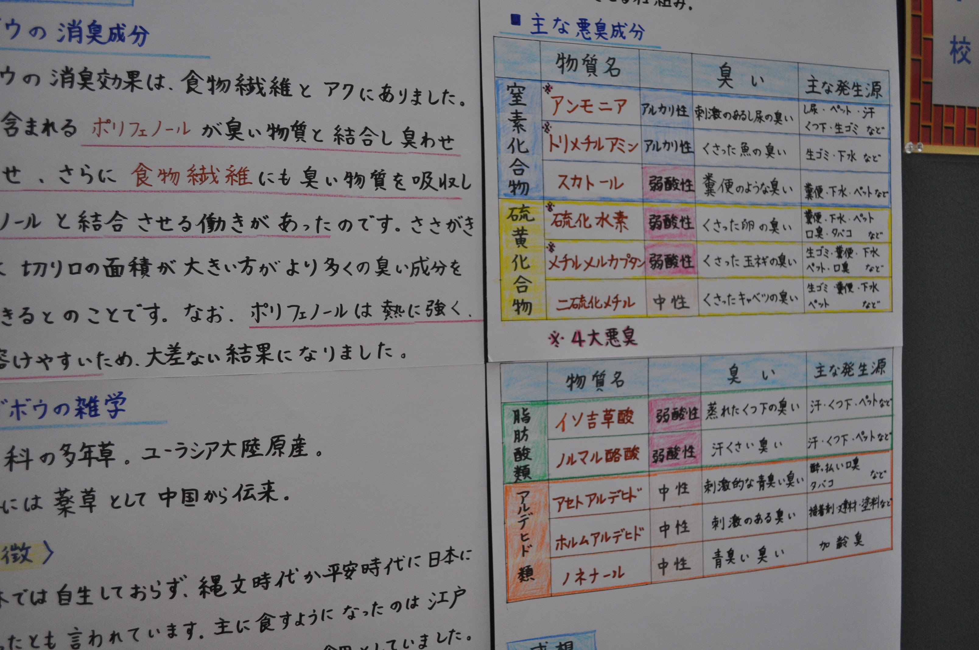 子供向けぬりえ 驚くばかり中二 自由研究 理科