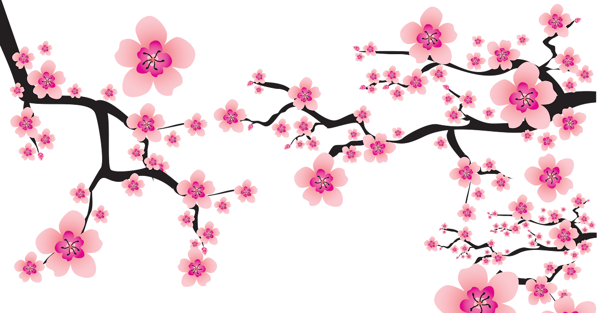 40 Koleski Terbaik Gambar  Bunga  Sakura  Background  Putih  